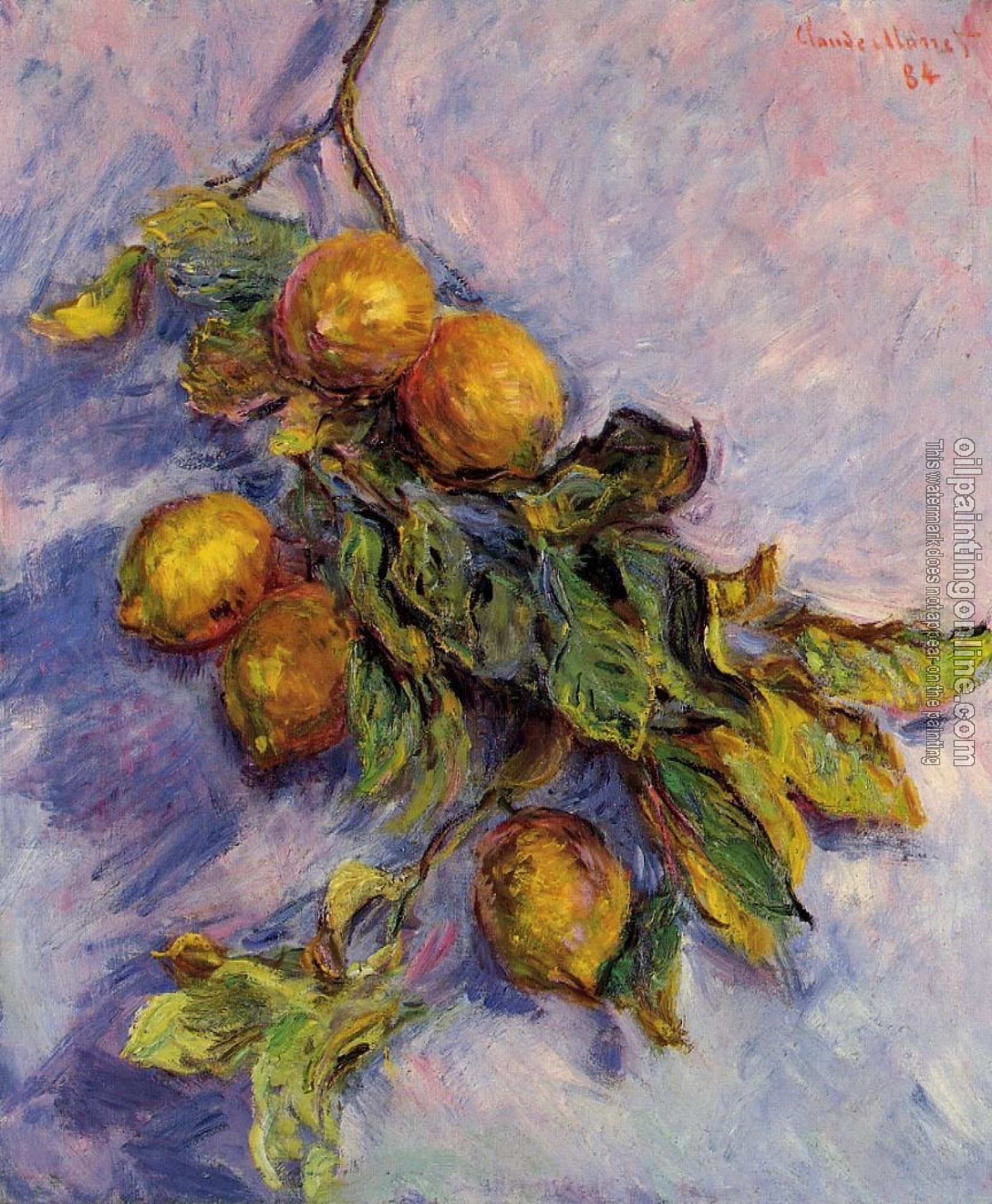 Monet, Claude Oscar - Lemons on a Branch